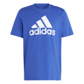 Big Logo Single Jersey T-Shirt Men - blue, white