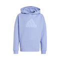 Future Icon Logo Hoody Boys - light blue,