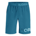 Borg Shorts Men - blue,