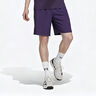 Y-3 Ergo Shorts Men-Violet