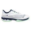 Mizuno