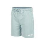 Ellesse Clothing Ellesse Molla Shorts Men-Sage