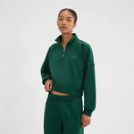 Ellesse Clothing Ellesse Carrera 1/4 Zip Long sleeve Women - dark green, 