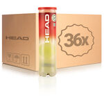 HEAD Pressurized ball HEAD Championship 4 Ball Tube