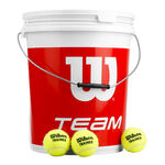 Wilson Tennis balls Wilson Team W Trainer 6 Dozen Bucket Special Edition