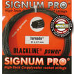 Signum Pro