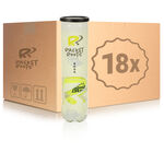 Racket Roots Club Tennisball 4 Ball Tube