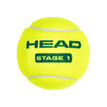 HEAD