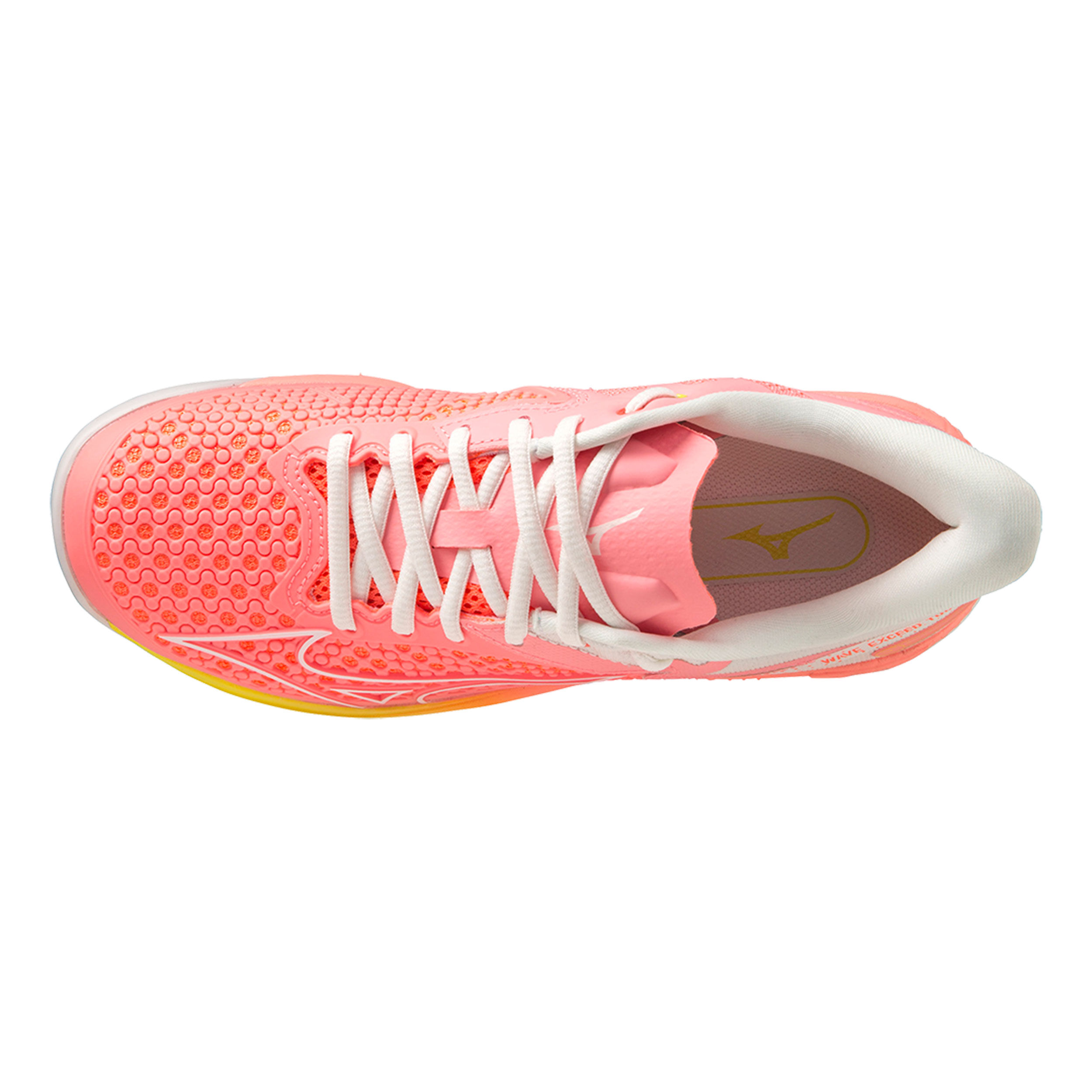 Puma evospeed indoor netfit hot sale 3