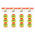 Racket Roots RR Stage 2 3 Pack
