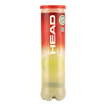 HEAD Tennis balls HEAD Championship 4 Ball Tube