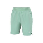 Tecnifibre Shorts Tecnifibre Team Stretch Shorts Men - sage