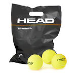 HEAD Tennis balls HEAD Trainer 72 Pack 