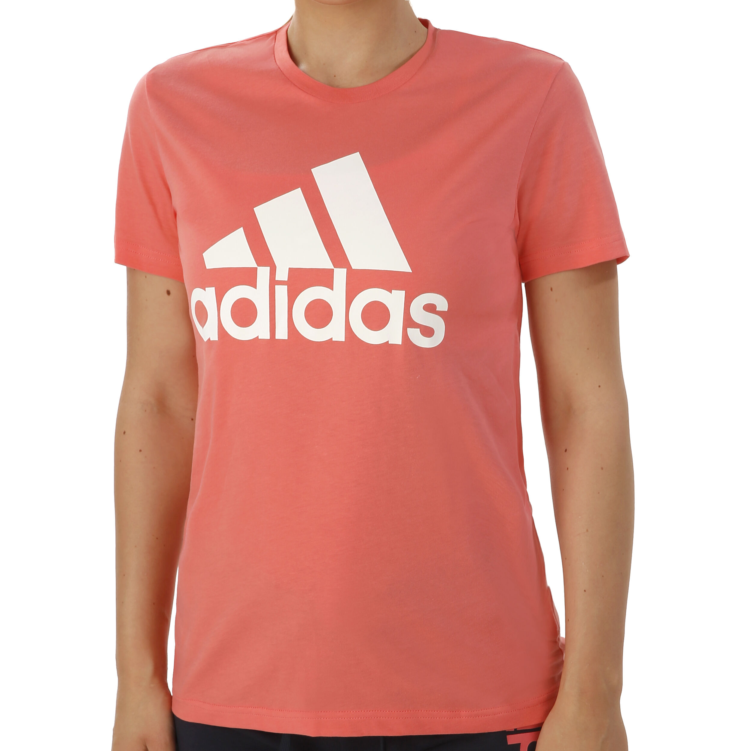 Adidas badge of 2024 sport tee women's