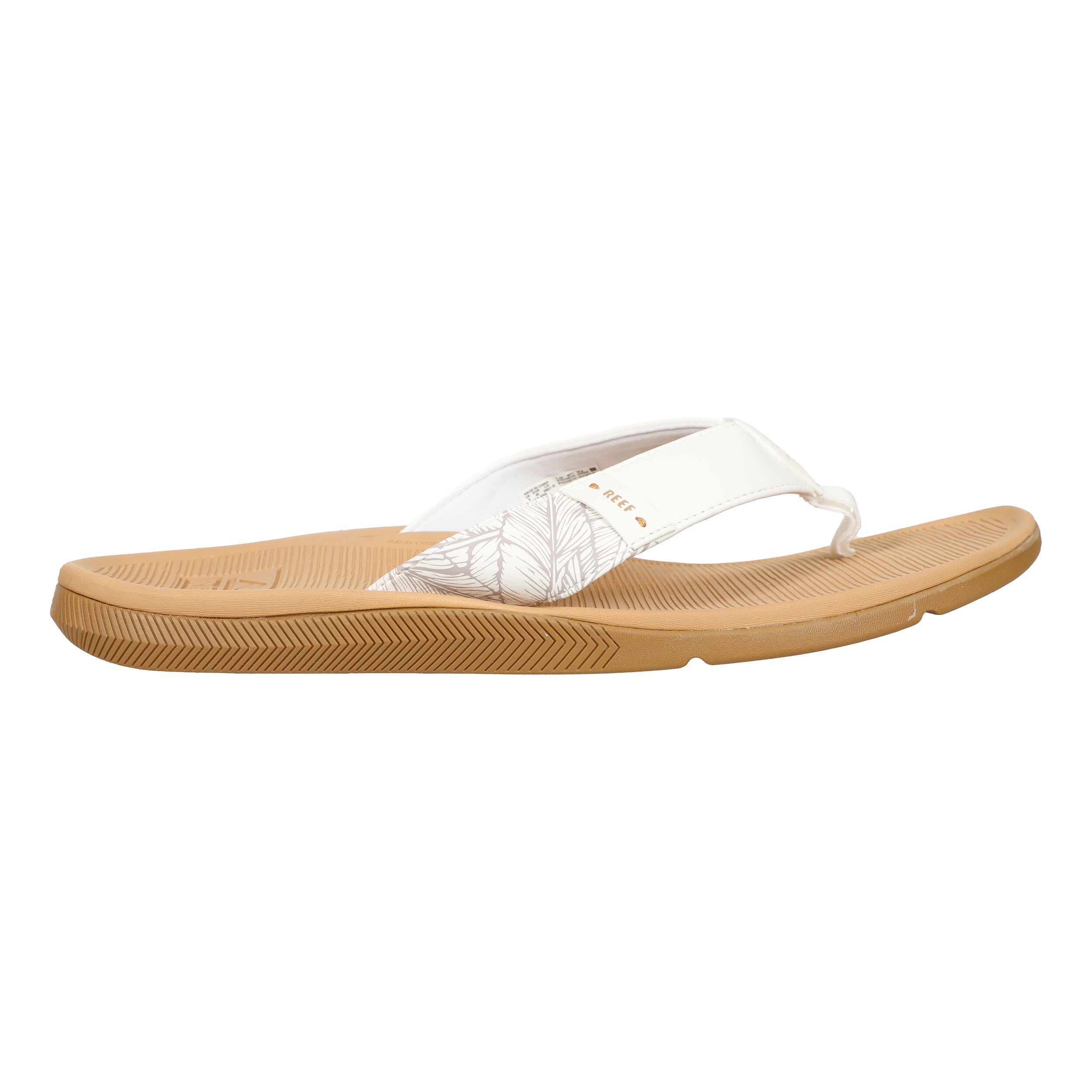 Tenis reef store new arrivals