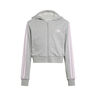 Essentials Crop Zip Hoodie Kids-Grey