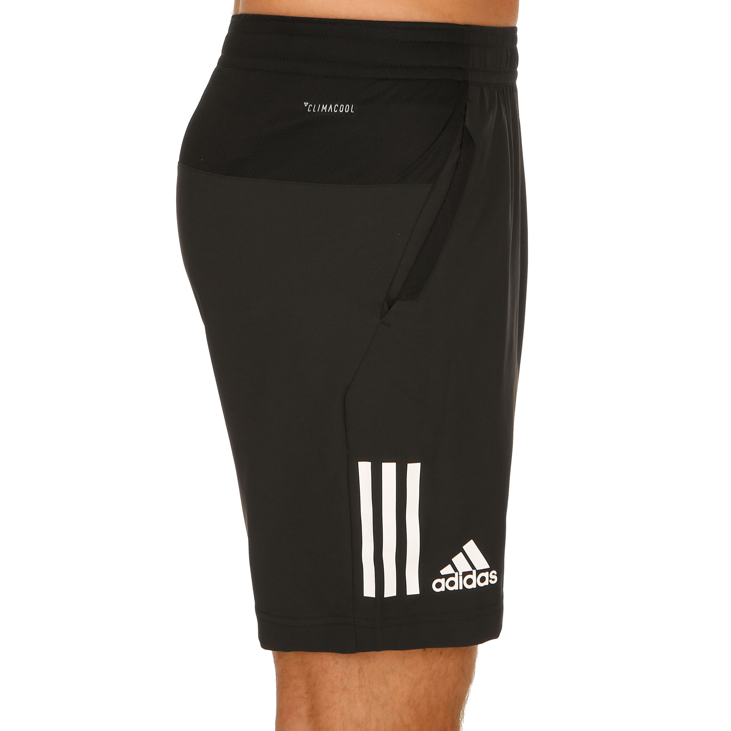 Adidas club shorts sale