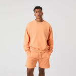 Bj&ouml;rn Borg Clothing Bj&ouml;rn Borg Borg Oversized Washed Sweatshirt Men-Orange