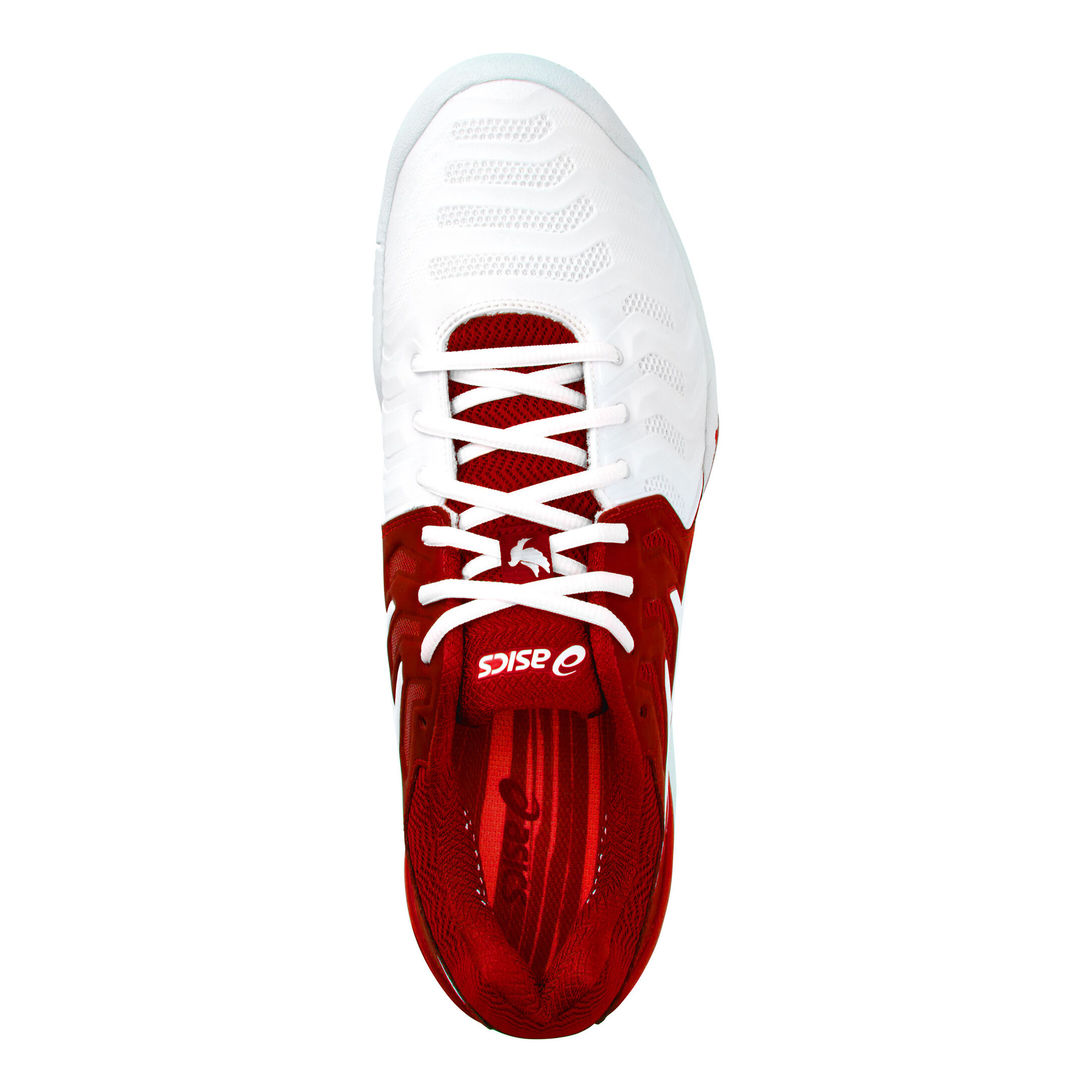 Gel resolution 7 new arrivals novak