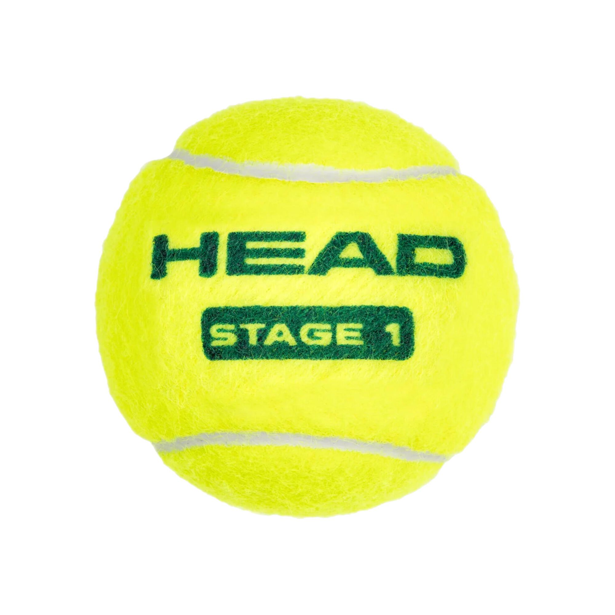 HEAD