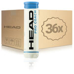 HEAD Pressurized ball HEAD Pro Coach 4 Ball Tube