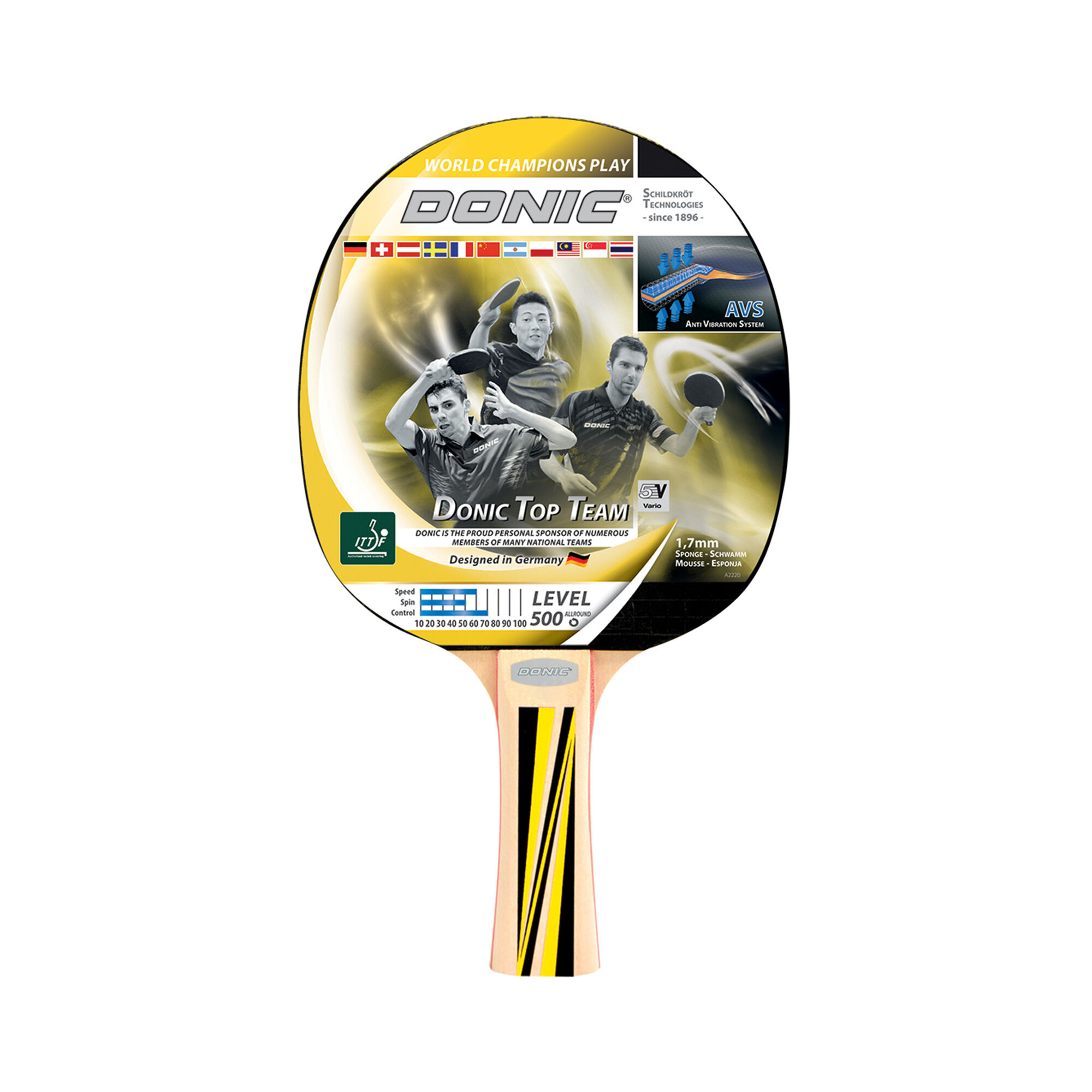 Schildkr&ouml;t Fitness