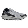 Terrex Agravic GTX Trail running shoe Men-grey, white