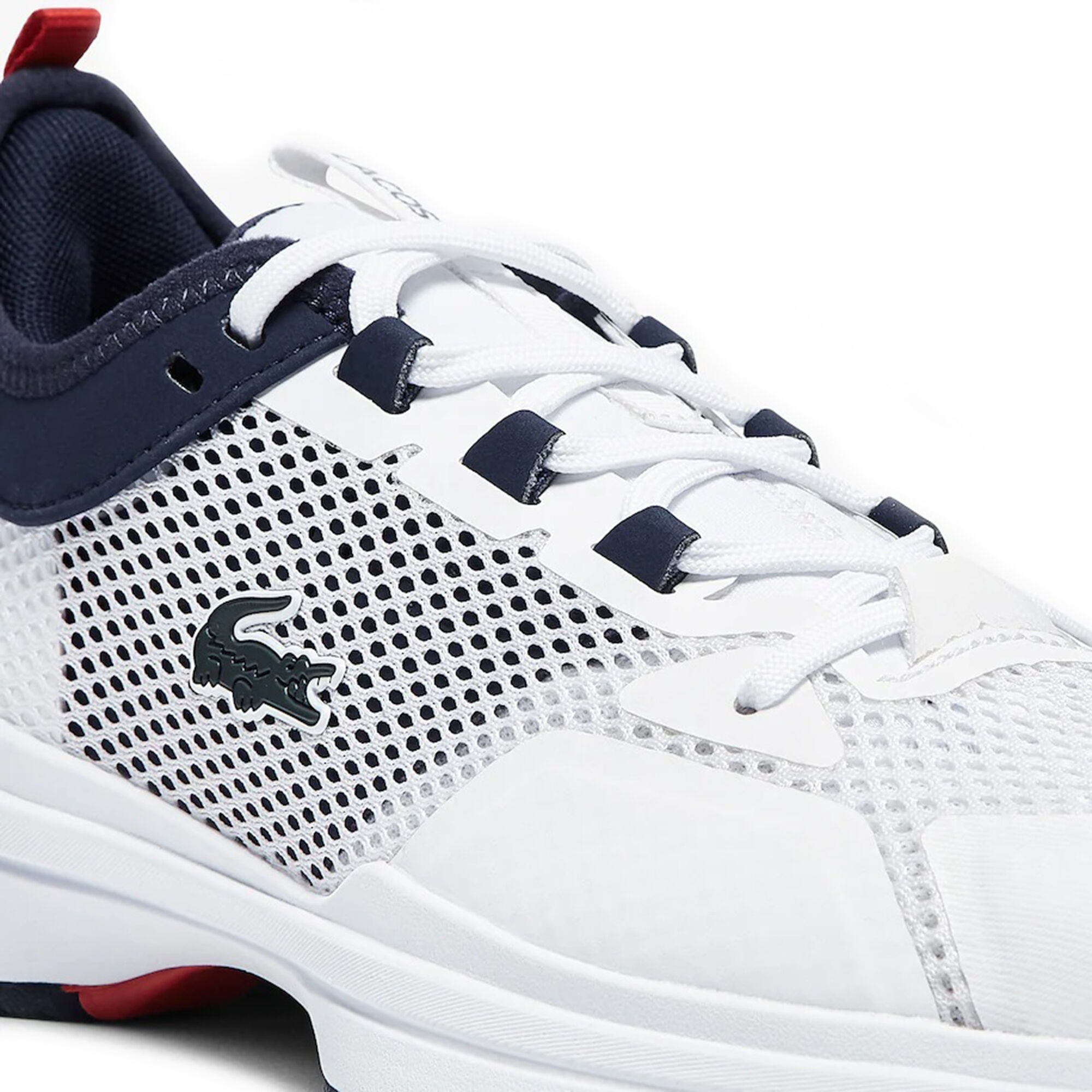 Buy Lacoste AG-LT21 All Court Shoe Women White, Blue online | Tennis ...