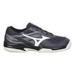 Mizuno
