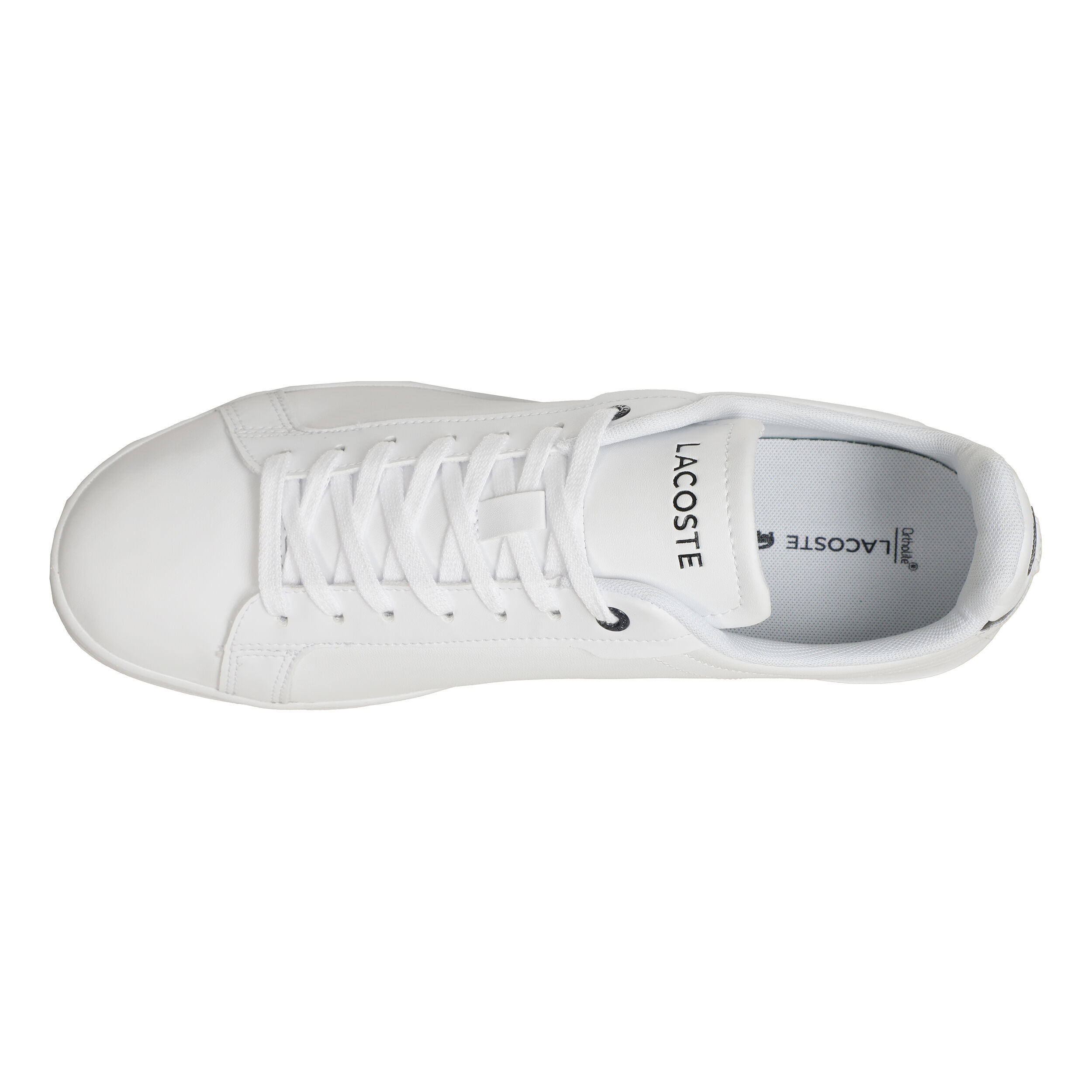 Lacoste hot sale carnaby tape
