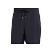 Paris 2in1 Shorts Men - Dark Grey, Turquoise