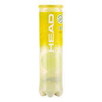 HEAD Tennis balls HEAD Team 4 Ball Tube