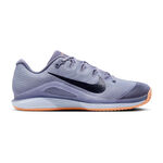 Nike Tennis shoes Nike Zoom Vapor 12 Clay court shoe Men-dark blue, blue