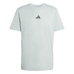 adidas T-Shirt adidas Climacool Identitiy Graphic T-Shirt Men-sage