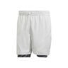 2in1 Pro Shorts Men-Lightgrey,Black