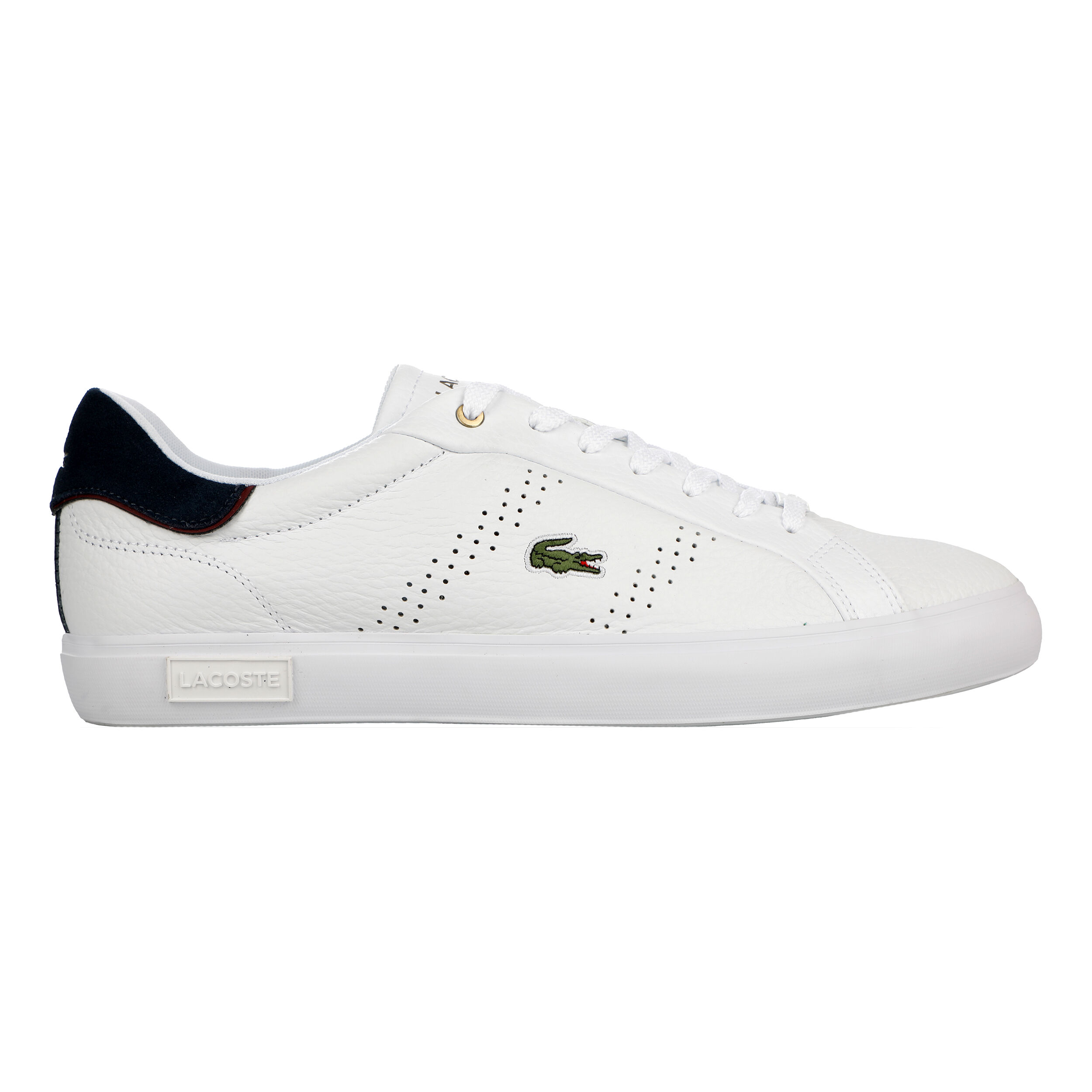 La coste basket discount homme