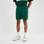 Ellesse Clothing Ellesse Dremonte Shorts Men - dark green, white