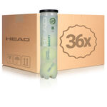 HEAD Gravity 4 Ball Tube Special Edition
