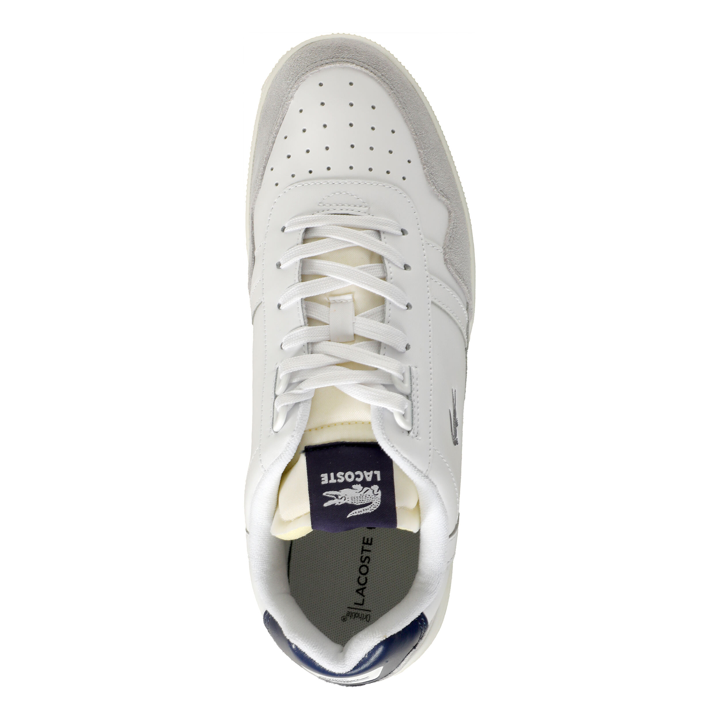 Lacoste sale shop men