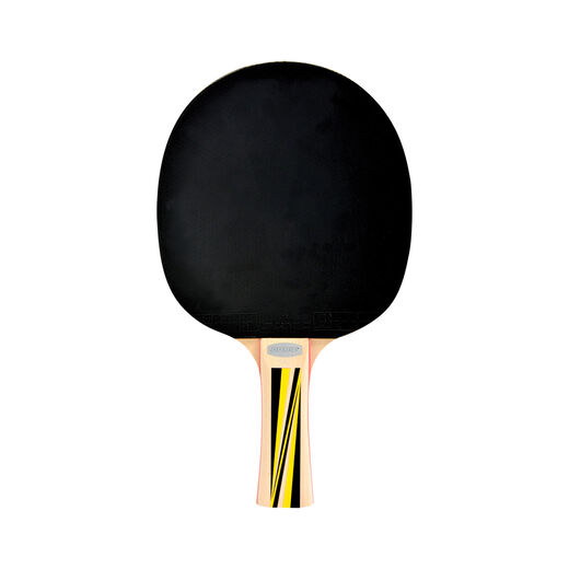 Schildkr&ouml;t Fitness