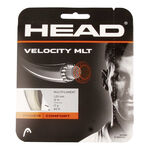 HEAD HEAD Velocity MLT String Set 12m-Ecru