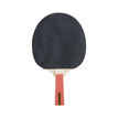 Dunlop