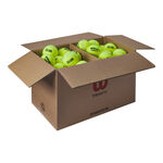 Wilson Tennis balls Wilson Triniti Club Box Of 72 Pcs