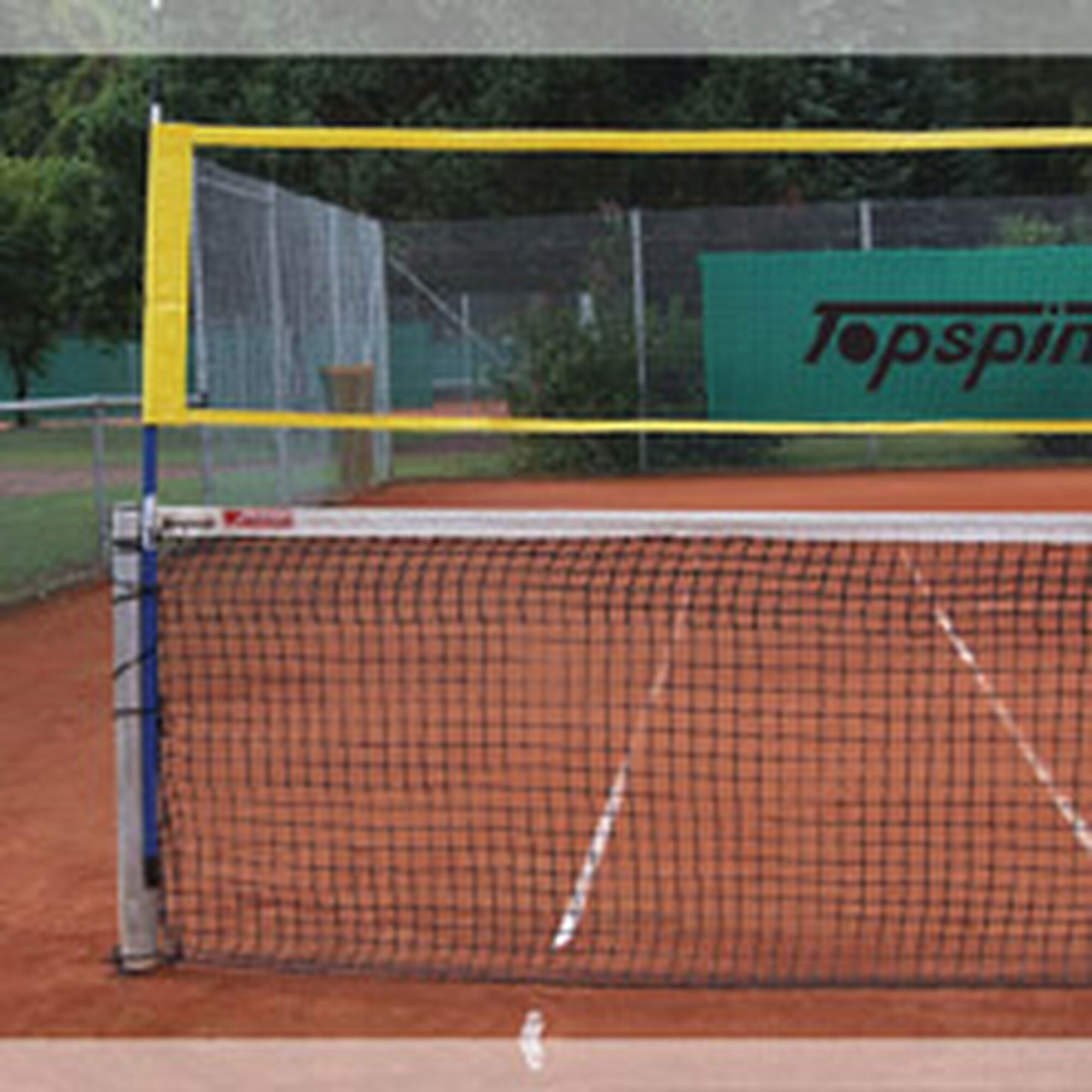 Topspin
