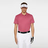 Leroy Polo Men-Berry