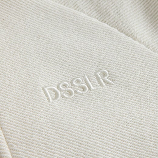 DSSLR