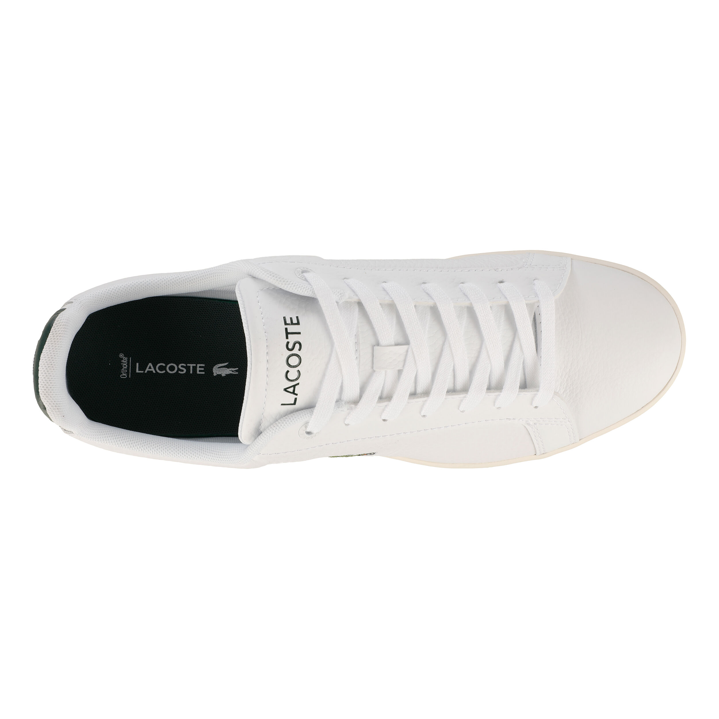 Lacoste chausport best sale