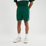 Ellesse Clothing Ellesse Dremonte Shorts Men - dark green, white