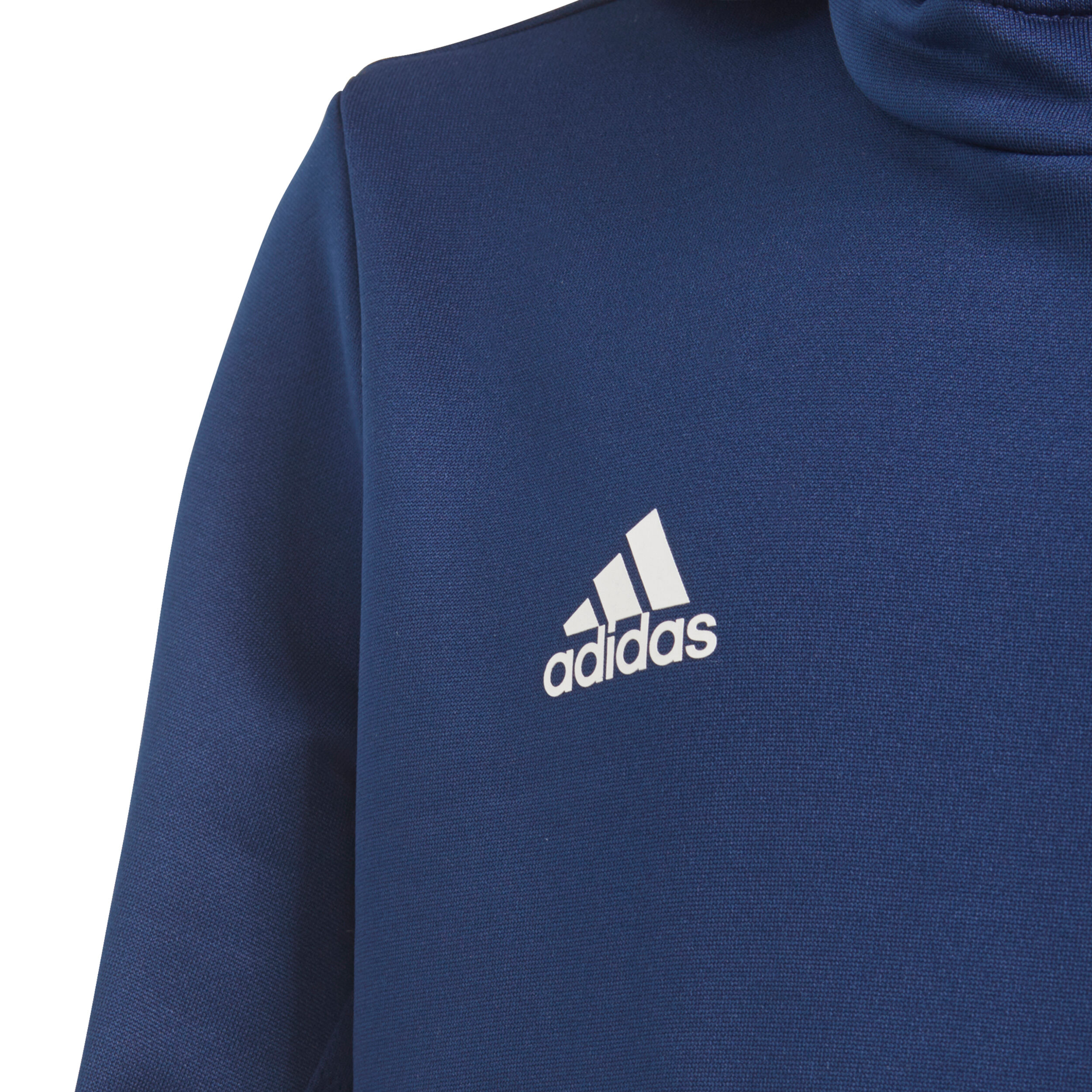 Adidas t19 2025 hoodie