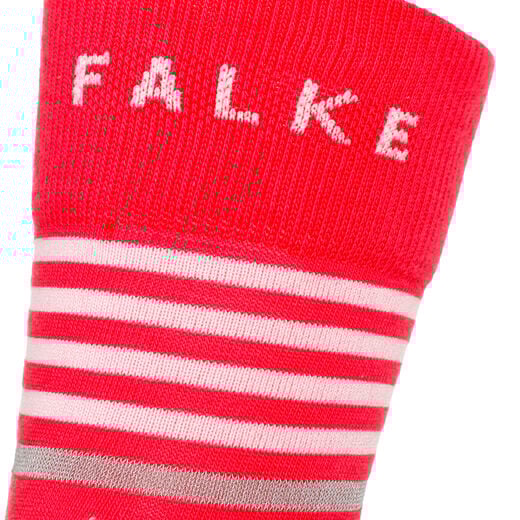 Falke